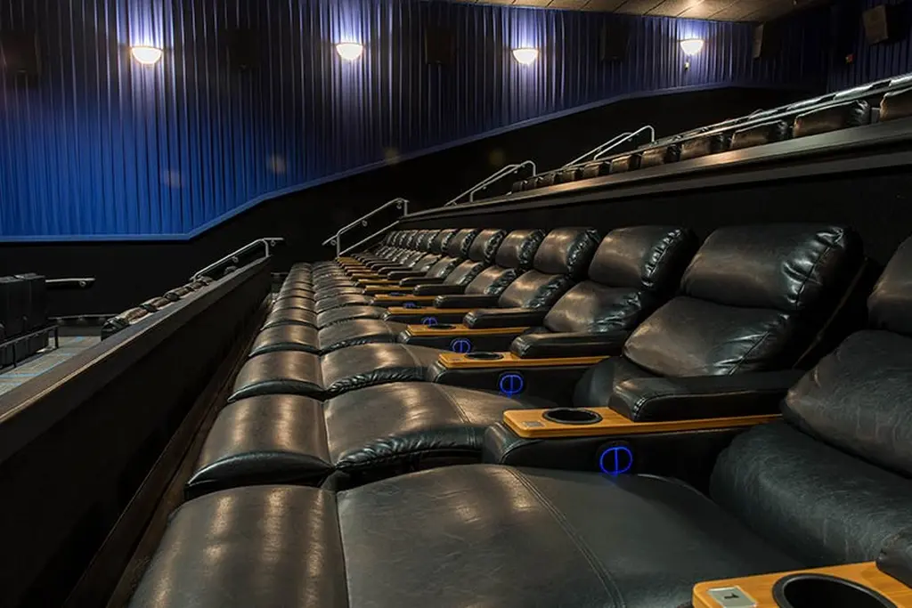 Multiplex seating